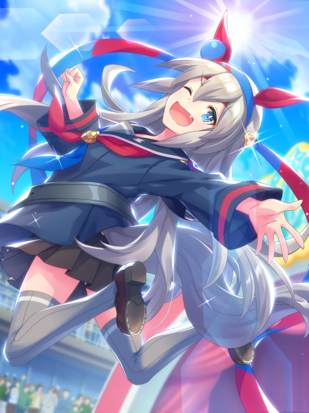 Fichier:Support Card 30009.png